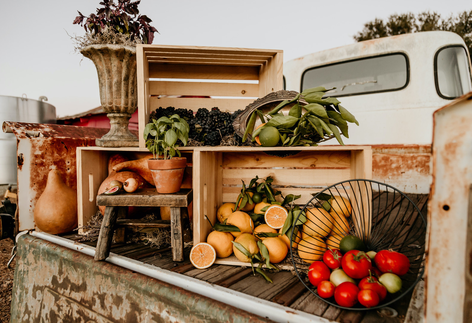 bed of a truck filled with crates of greenery and fresh fruit, oranges and pomegranates