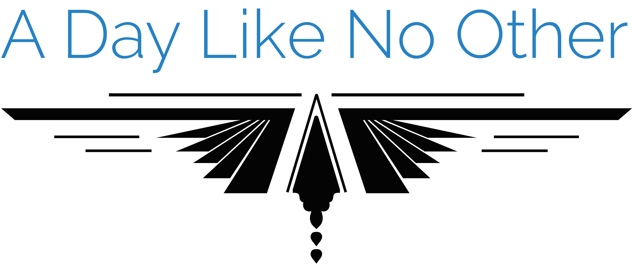 A Day Like No Other Logo