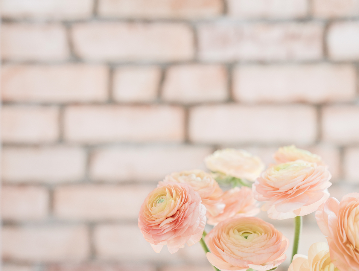 brick wall with flowers in front