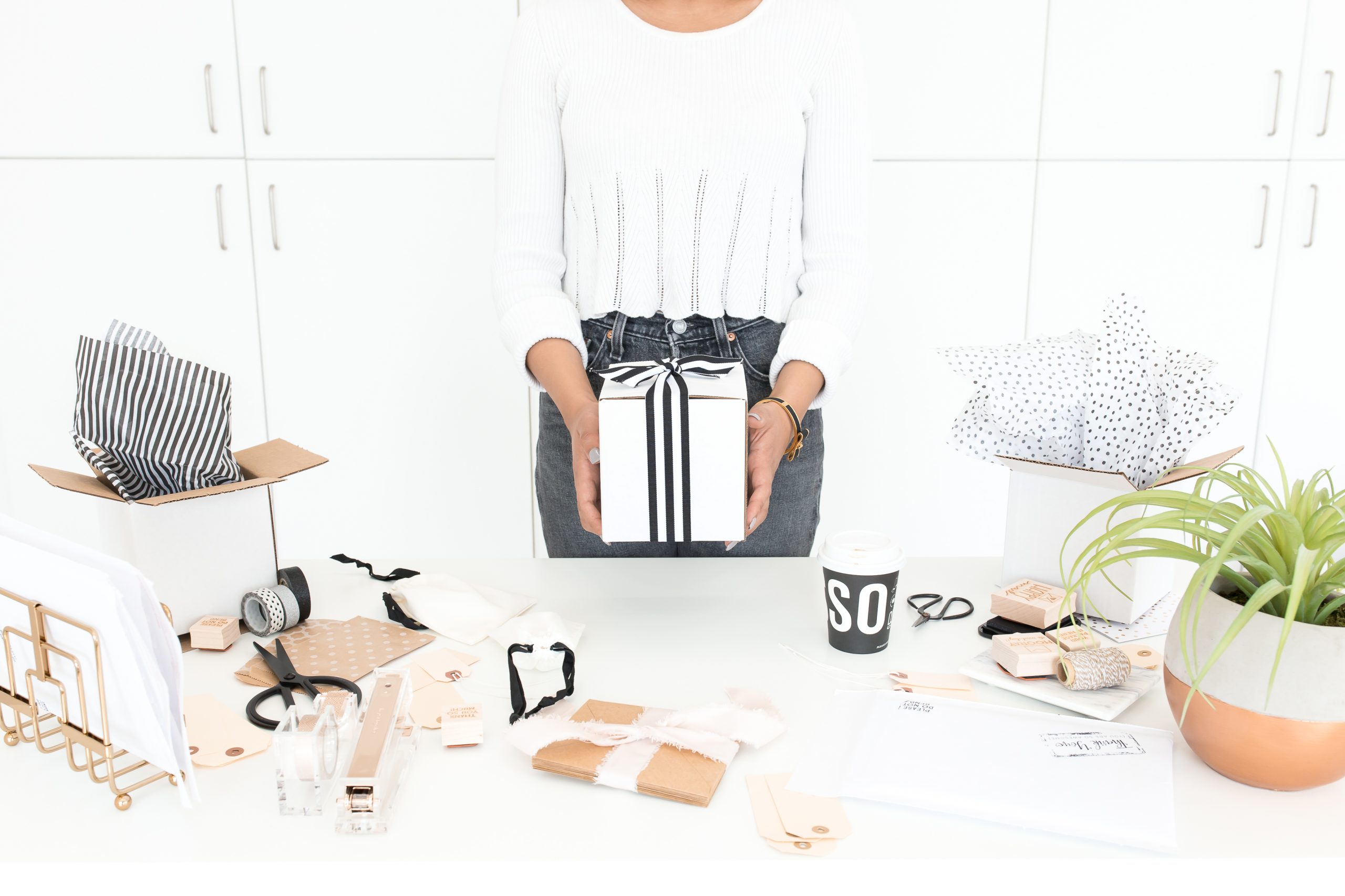 A gift box and a small plant